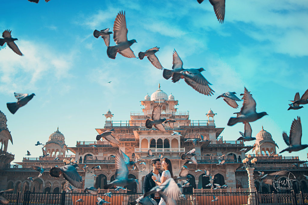 Pre wedding Shoot in Albert Hall Museum Jaipur Pegion fly